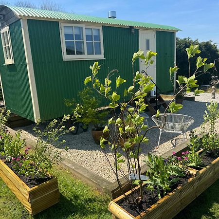 Toms Hut And Robins Rest Shepherd Huts Near Wadebridge Dış mekan fotoğraf
