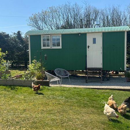 Toms Hut And Robins Rest Shepherd Huts Near Wadebridge Dış mekan fotoğraf
