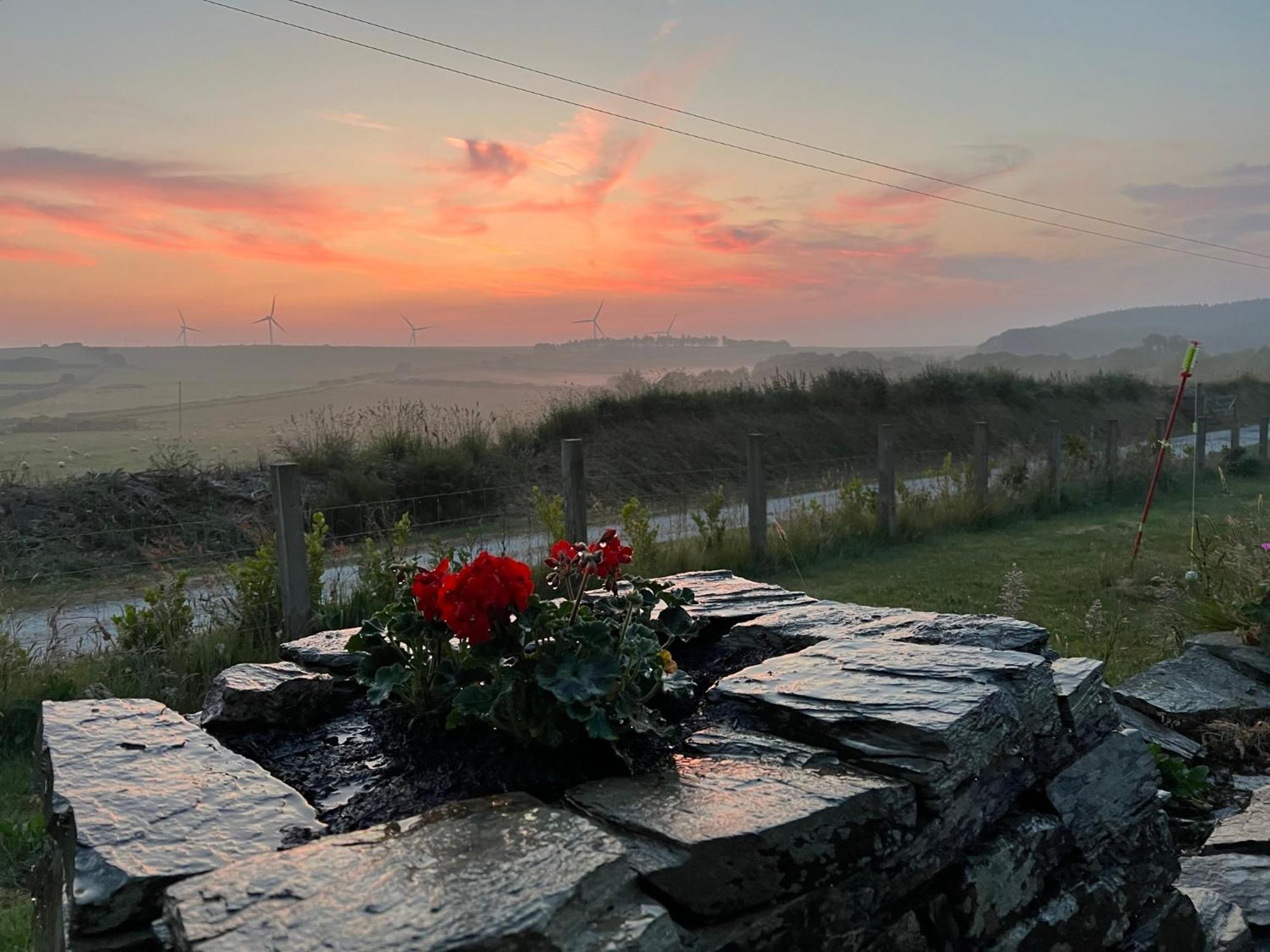 Toms Hut And Robins Rest Shepherd Huts Near Wadebridge Dış mekan fotoğraf