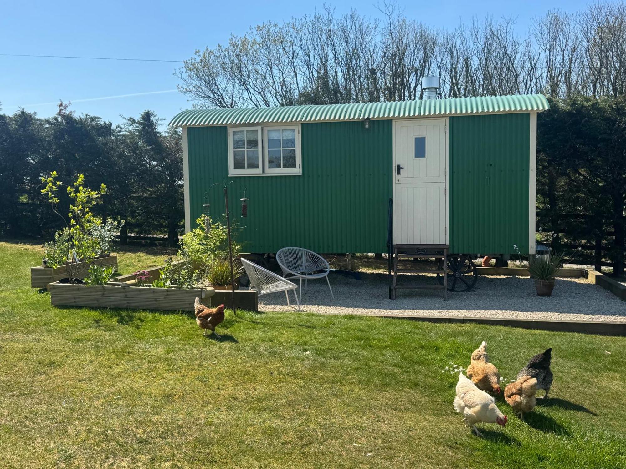 Toms Hut And Robins Rest Shepherd Huts Near Wadebridge Dış mekan fotoğraf